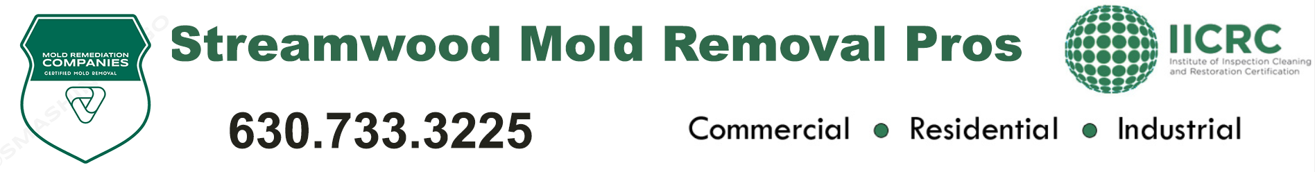 Streamwood Mold Removal Pros