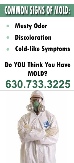 Streamwood Mold Remediation Contractor